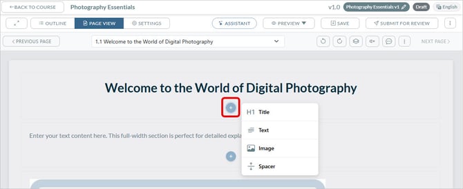 Add Page Element